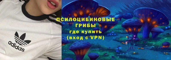 хмурый Вязьма