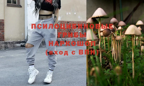 PSILOCYBIN Горнозаводск