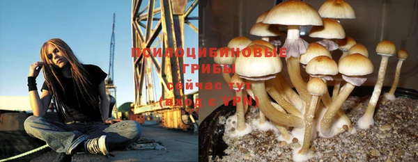 хмурый Вязьма