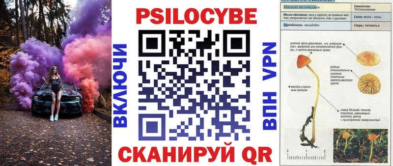 Галлюциногенные грибы мухоморы  Купить  Красный Холм 